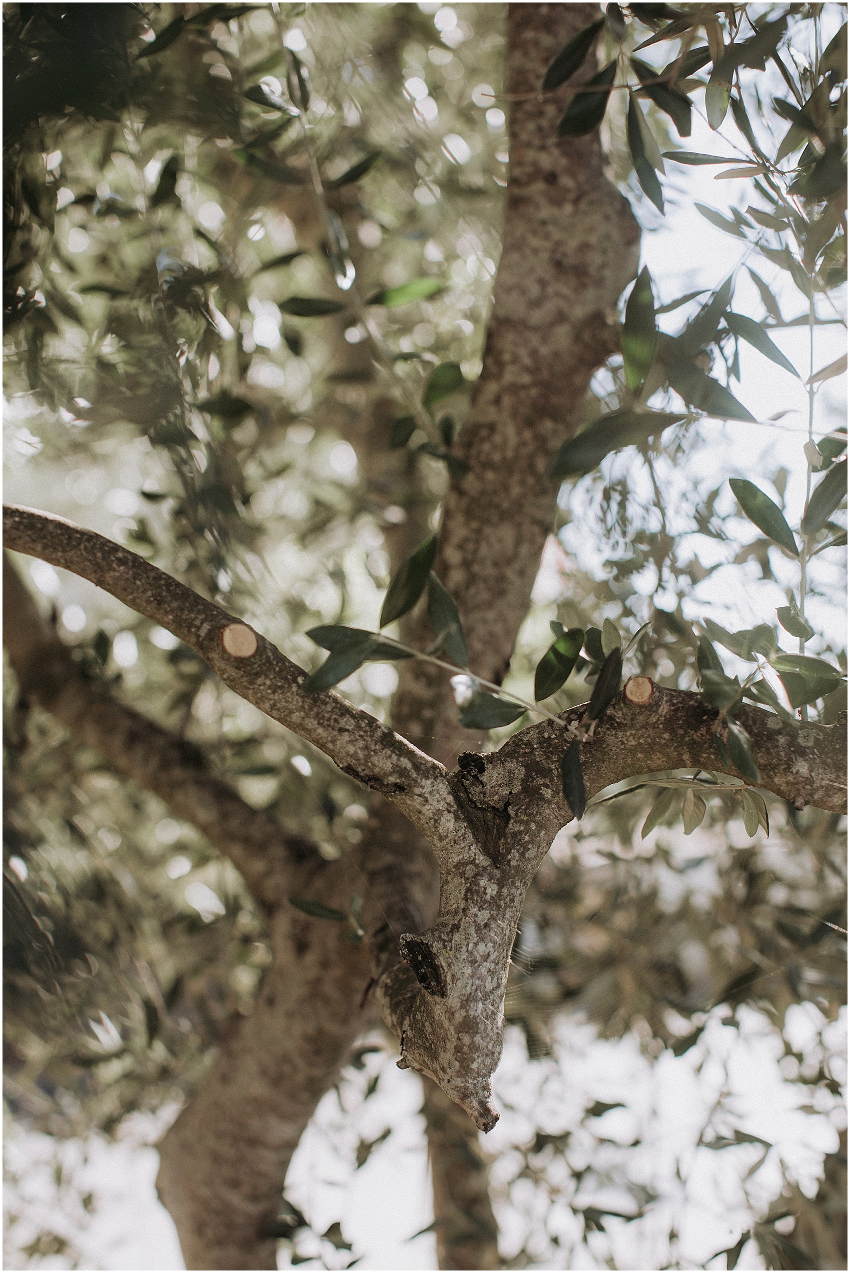 Wedding in Tuscany